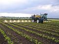 Leon Vissers Vissers aardbeiplanten BV America (16)